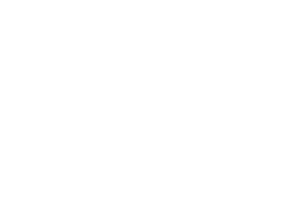 Logo_2